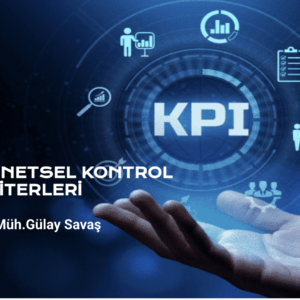 Yönetsel Kontrol Kriterleri